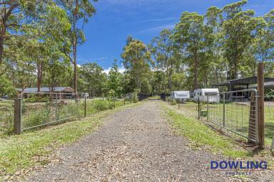 Farm Sold - NSW - Medowie - 2318 - VERY RARE INDEED!  (Image 2)