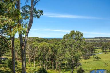 Farm Sold - NSW - Moruya - 2537 - Rural With Ocean Views  (Image 2)