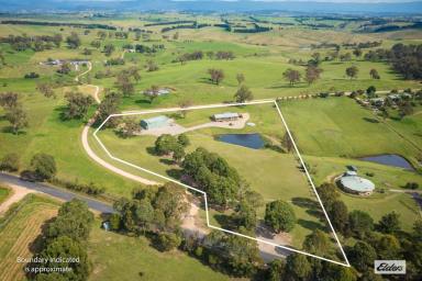 Farm Sold - NSW - Kanoona - 2550 - READY TO MOVE IN  (Image 2)