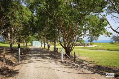 Farm Sold - NSW - Kanoona - 2550 - READY TO MOVE IN  (Image 2)