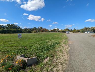 Farm Sold - NSW - Tocumwal - 2714 - An Awesome Acreage Block - The Stuff Of Dreams  (Image 2)