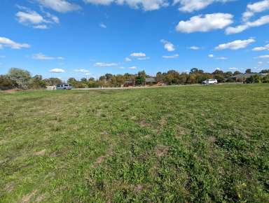 Farm Sold - NSW - Tocumwal - 2714 - An Awesome Acreage Block - The Stuff Of Dreams  (Image 2)