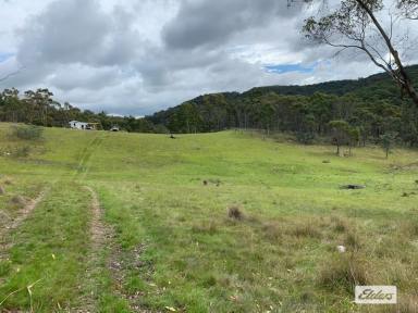 Farm Sold - NSW - Taralga - 2580 - 15 minutes to Taralga village a property with loads of potential.  (Image 2)