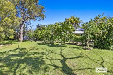 Farm Sold - QLD - Pacific Haven - 4659 - THE CHARMS OF COUNTRY LIVING  (Image 2)