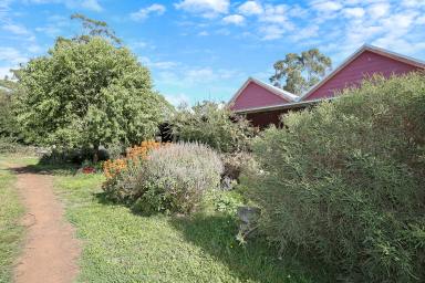 Farm Sold - VIC - Elingamite North - 3266 - How about a home among the Gum Tree's!  (Image 2)