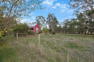 Farm Sold - VIC - Elingamite North - 3266 - How about a home among the Gum Tree's!  (Image 2)