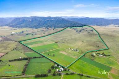 Farm Sold - NSW - Martindale - 2328 - "EAGLE VIEW" | 264 ACRE RURAL HOLDING WITH IRRIGATION  (Image 2)