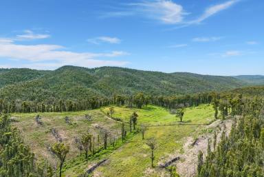 Farm For Sale - NSW - Deua River Valley - 2537 - Investing In Your Lifestyle?  (Image 2)