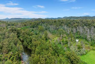 Farm Sold - NSW - Deua River Valley - 2537 - Popular Deua River  (Image 2)