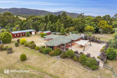 Farm Sold - TAS - Howden - 7054 - Exceptional Family Living with Equine Excellence  (Image 2)