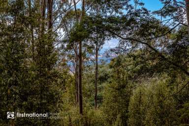 Farm Sold - TAS - Margate - 7054 - Enchanted Forest  (Image 2)