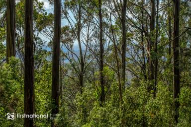 Farm Sold - TAS - Margate - 7054 - Enchanted Forest  (Image 2)