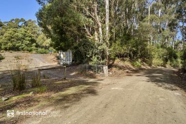 Farm Sold - TAS - Adventure Bay - 7150 - North Facing acreage on two titles, minutes from Adventure Bay Beach!  (Image 2)