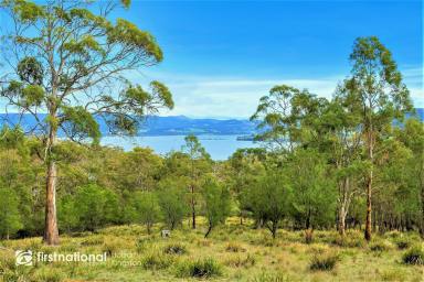 Farm Sold - TAS - North Bruny - 7150 - Private Building Envelope with Stunning Channel & Mountain Panoramas  (Image 2)