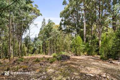 Farm Sold - TAS - Franklin - 7113 - Home Among the Gum Trees  (Image 2)