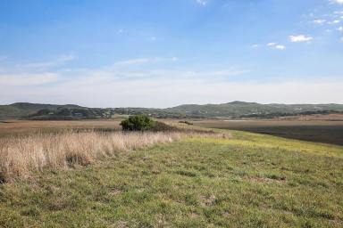 Farm For Sale - VIC - Princetown - 3269 - Amazing Princetown Land Opportunity  (Image 2)