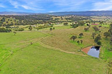 Farm For Sale - NSW - Tenterfield - 2372 - "Sheralie" - Rural Lifestyle Property With Options.....  (Image 2)