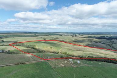 Farm Sold - VIC - Simpson - 3266 - Attractive Quality High Rainfall Simpson Country  (Image 2)