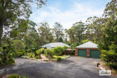 Farm Sold - NSW - Kalaru - 2550 - PRIVATE COASTAL OASIS  (Image 2)