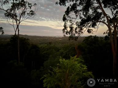 Farm Sold - QLD - The Palms - 4570 - Bushland and Wildlife Retreat on Top of the World!  (Image 2)