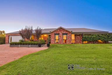 Farm Sold - VIC - Irymple - 3498 - LIFESTYLE AND LOCATION  (Image 2)