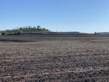 Farm Sold - NSW - Edgeroi - 2390 - EDGEROI BLACK SOIL  (Image 2)