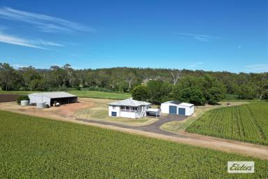 Farm Sold - QLD - Glen Cairn - 4342 - Perfect Package on 45 Acres
UNDER CONTRACT  (Image 2)