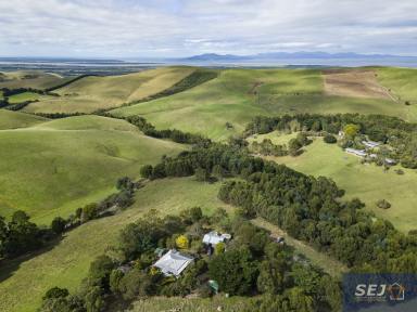 Farm Sold - VIC - Welshpool - 3966 - Character homestead in picturesque country setting  (Image 2)