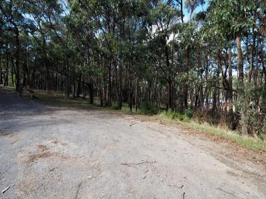 Farm For Sale - VIC - Dales Creek - 3341 - 1.01HA (2.5 Acres) Development Opportunity Not to Be Missed  (Image 2)