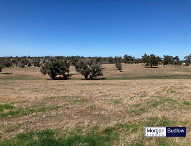 Farm Sold - WA - Boyup Brook - 6244 - LIFESTYLE RURAL LOTS ON THE EDGE OF SOUTHWEST TOWN - PRICED FROM $450,000  (Image 2)