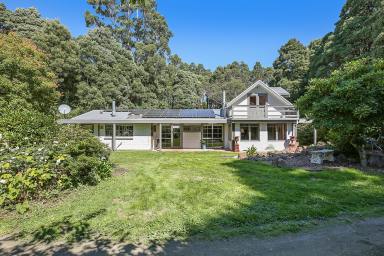 Farm Sold - VIC - Lavers Hill - 3238 - Handcrafted Haven!  (Image 2)