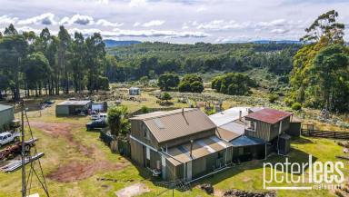Farm Sold - TAS - Patersonia - 7259 - Another Property SOLD SMART by Peter Lees Real Estate  (Image 2)