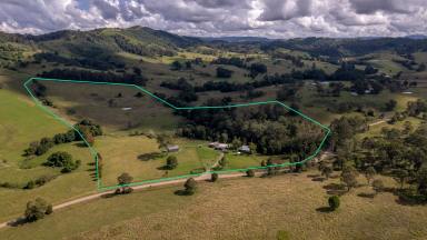 Farm Sold - NSW - Wang Wauk - 2423 - Country Hinterland Escape – Tranquil Valley views  (Image 2)
