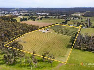 Farm Sold - TAS - Latrobe - 7307 - Olive Grove and Home on Acreage in Latrobe  (Image 2)