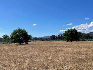 Farm Sold - VIC - Hamilton - 3300 - Reversion Opportunity - Various Properties - Western Victoria  (Image 2)
