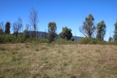 Farm Sold - NSW - Rockton - 2632 - Fresh Country Air  (Image 2)