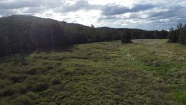 Farm Sold - NSW - Tabulam - 2469 - What a Find!  (Image 2)