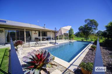 Farm Sold - NSW - Upper Lansdowne - 2430 - PICTURESQUE RURAL LIVING AT ITS FINEST  (Image 2)