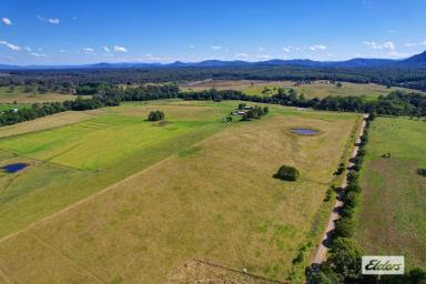 Farm Sold - NSW - Upper Lansdowne - 2430 - WHERE THE AIR IS CLEAN AND THE VIEW IS FOREVER  (Image 2)