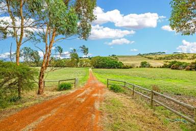 Farm Sold - VIC - Port Campbell - 3269 - ATTRACTIVE PORT CAMPBELL DISTRICT COUNTRY  (Image 2)