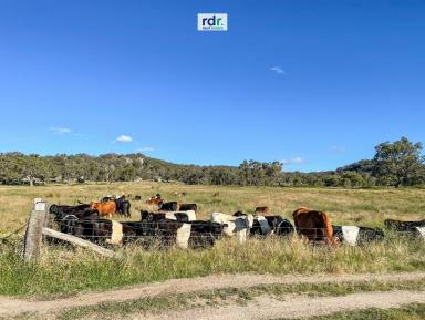 Farm For Sale - NSW - Balala - 2358 - A RECIPE FOR RELAXATION  (Image 2)