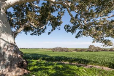 Farm Sold - VIC - Meredith - 3333 - PRIME GEELONG DISTRICT RURAL INVESTMENT  (Image 2)