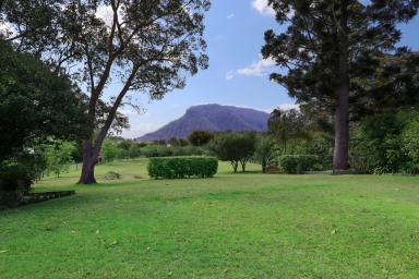 Farm Sold - NSW - Nimbin - 2480 - Have It All - Views, Acreage, Location & Top Quality Home  (Image 2)