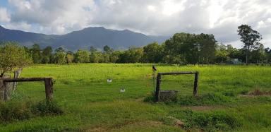 Farm Sold - QLD - Carruchan - 4816 - Vacant rural block with two street frontage & lovely mountain views  (Image 2)