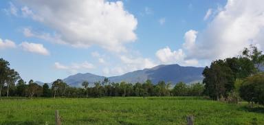 Farm Sold - QLD - Carruchan - 4816 - Vacant rural block with two street frontage & lovely mountain views  (Image 2)