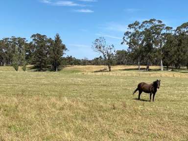 Farm Sold - VIC - Devon North - 3971 - 130 ACRES - ENJOY THE QUIET LIFE IN THE COUNTRY  (Image 2)