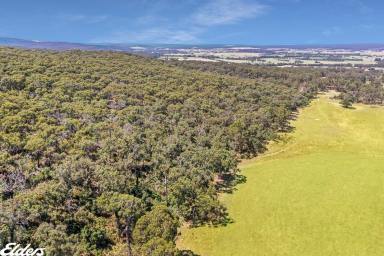 Farm Sold - VIC - Devon North - 3971 - 130 ACRES - ENJOY THE QUIET LIFE IN THE COUNTRY  (Image 2)