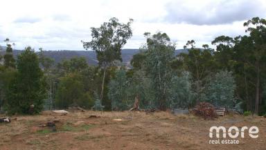 Farm Sold - TAS - Dysart - 7030 - A little patch of paradise for your home  (Image 2)
