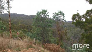 Farm Sold - TAS - Dysart - 7030 - A little patch of paradise for your home  (Image 2)