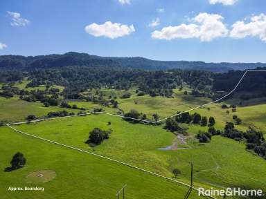 Farm For Sale - NSW - Jaspers Brush - 2535 - Devine on Devitts!!!  (Image 2)